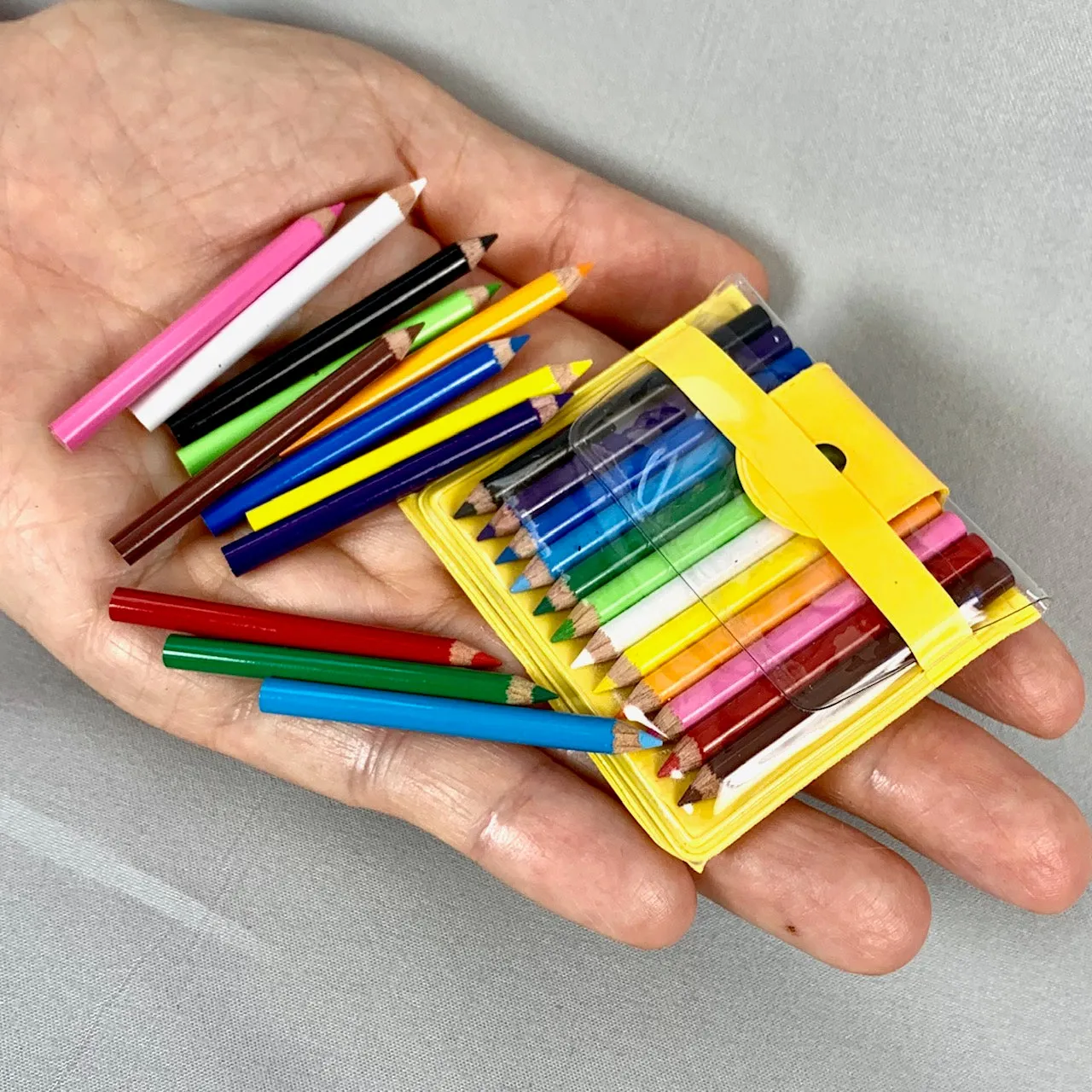 21613  12 Mini Pencils in Pouch Bulk-100