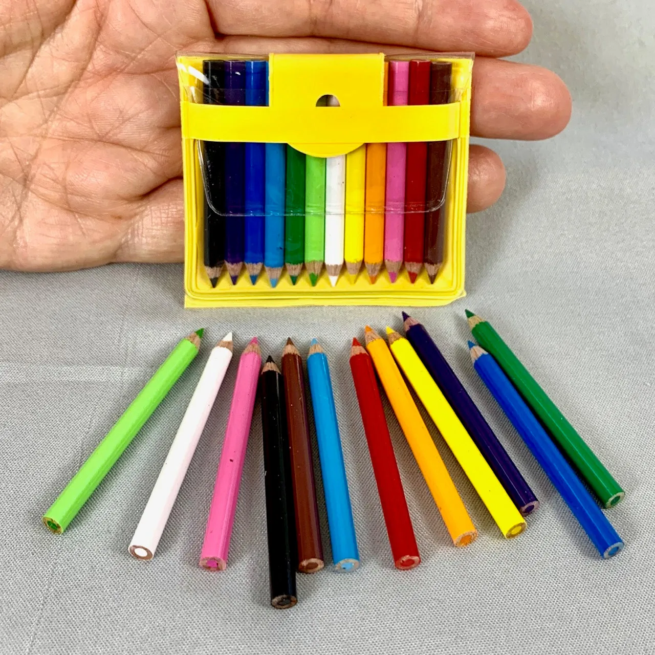 21613  12 Mini Pencils in Pouch Bulk-100