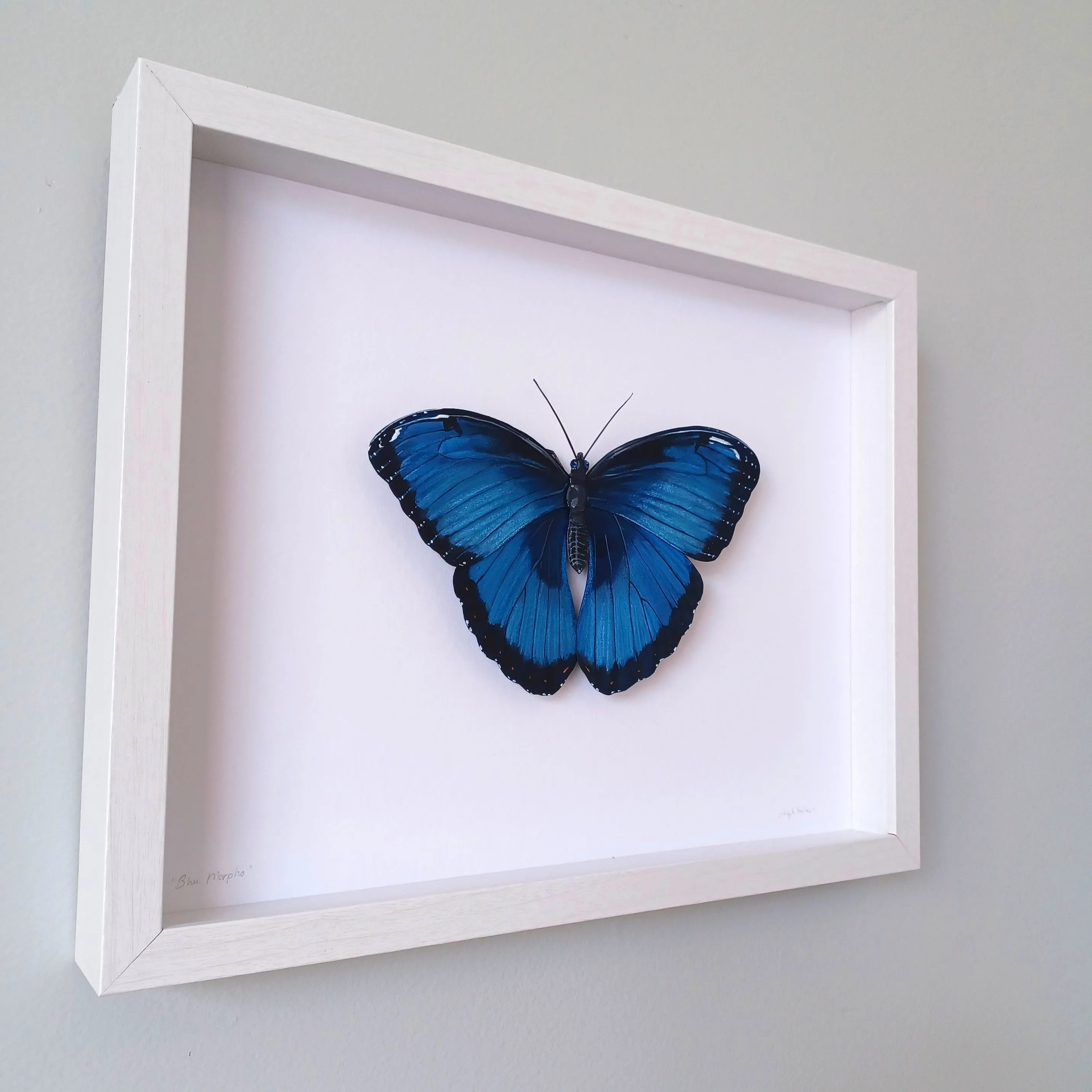 Blue Morpho Butterfly framed painted paper sculpture