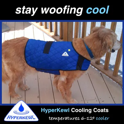 CLEARANCE HyperKewl Dog Cooling Coat