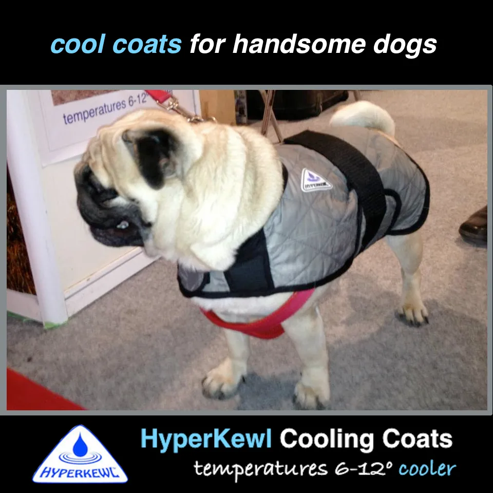 CLEARANCE HyperKewl Dog Cooling Coat