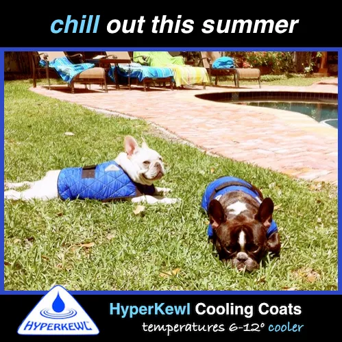 CLEARANCE HyperKewl Dog Cooling Coat